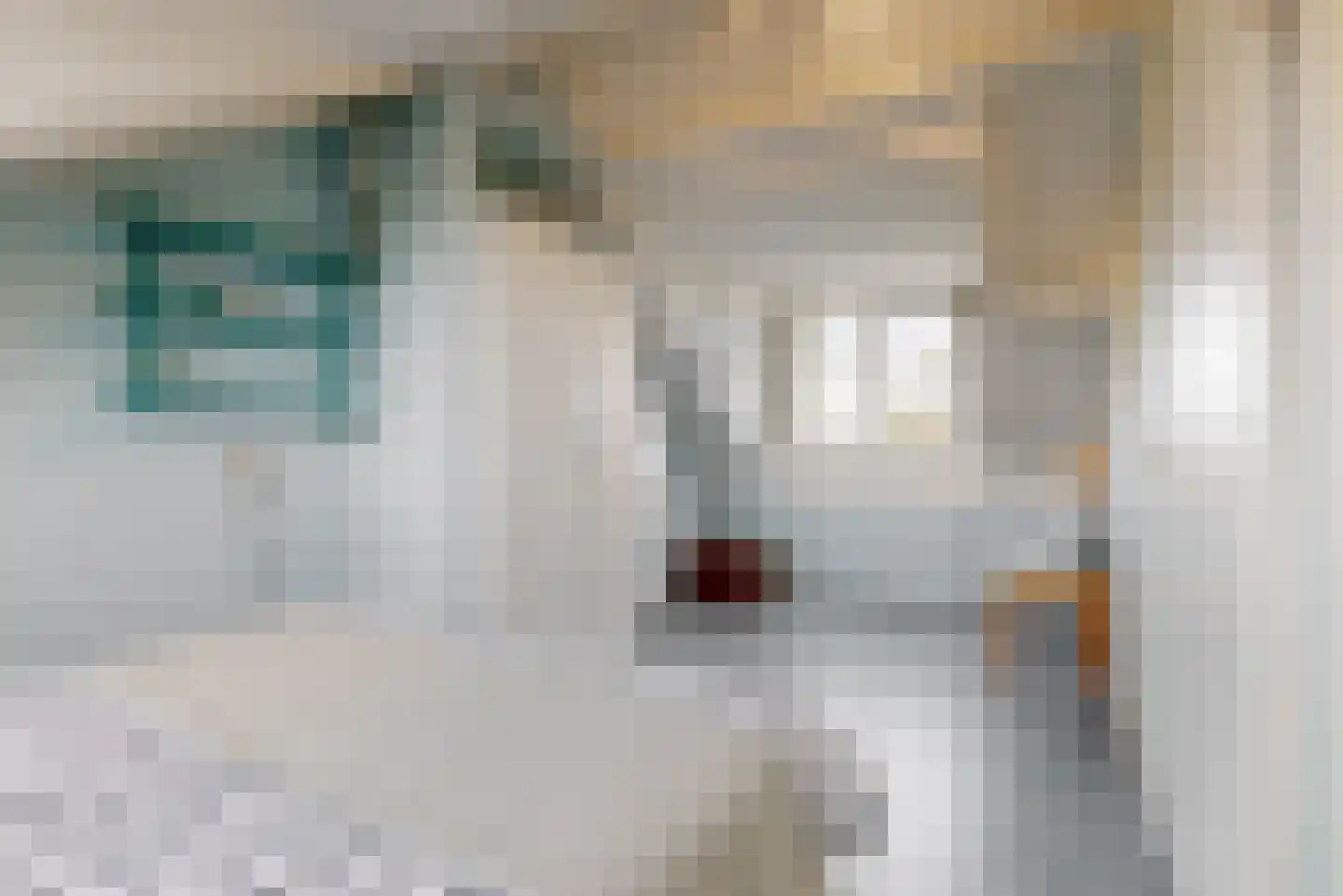 Jeroen Boschlaan 28 Lopik thumbnail 27