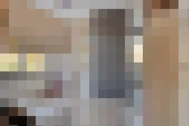 Jeroen Boschlaan 38 Zwijndrecht thumbnail 23