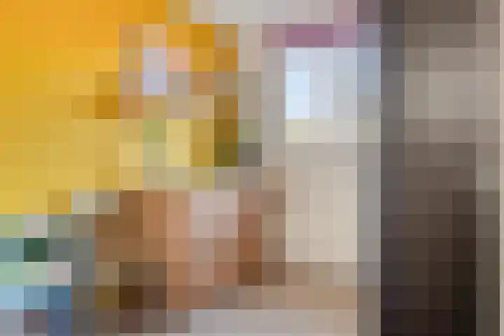 Jeroen Boschlaan 38 Zwijndrecht thumbnail 26
