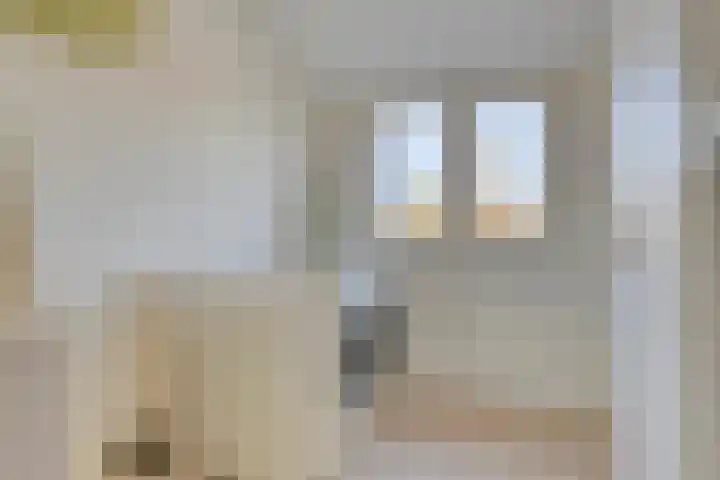 Jeroen Boschlaan 38 Zwijndrecht thumbnail 30