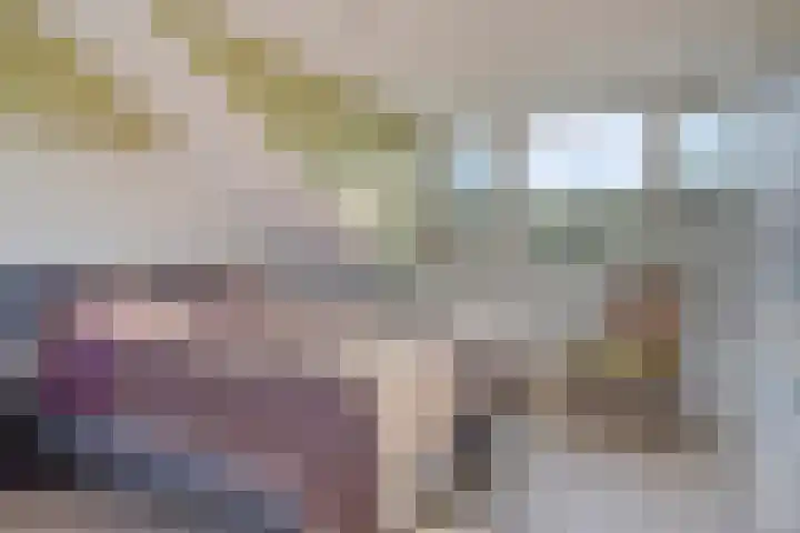 Jeroen Boschlaan 38 Zwijndrecht thumbnail 31