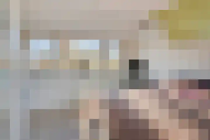 Jeroen Boschlaan 38 Zwijndrecht thumbnail 32