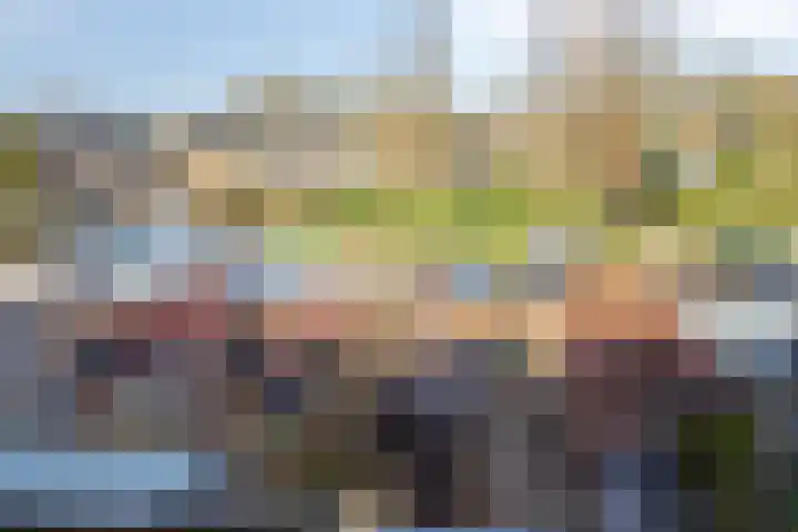 Jeroen Boschlaan 38 Zwijndrecht thumbnail 36