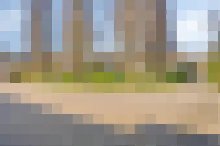 Jeroen Boschlaan 38 Zwijndrecht thumbnail 42
