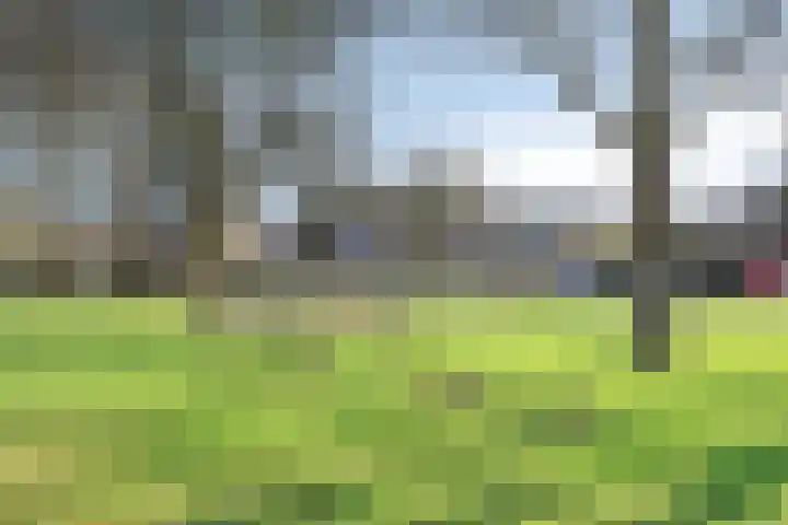 Jeroen Boschlaan 38 Zwijndrecht thumbnail 44