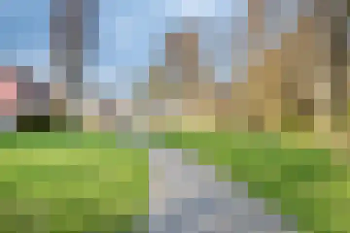 Jeroen Boschlaan 38 Zwijndrecht thumbnail 45