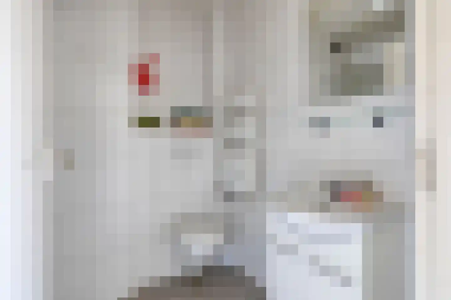 Jeroen Boschlaan 48 Berkel-Enschot thumbnail 20
