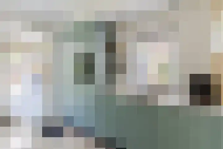 Jeroen Boschlaan 6 Berkel-Enschot thumbnail 12