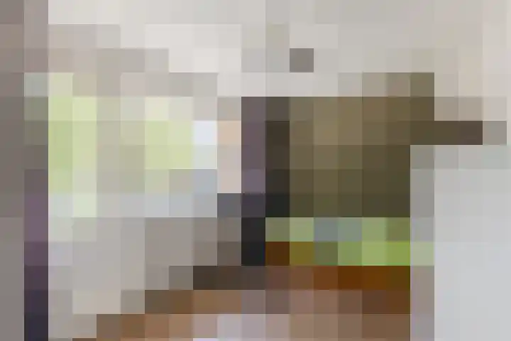 Jeroen Boschlaan 6 Berkel-Enschot thumbnail 16