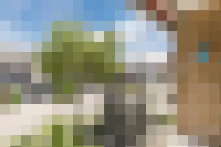 Jeroen Boschlaan 6 Berkel-Enschot thumbnail 17