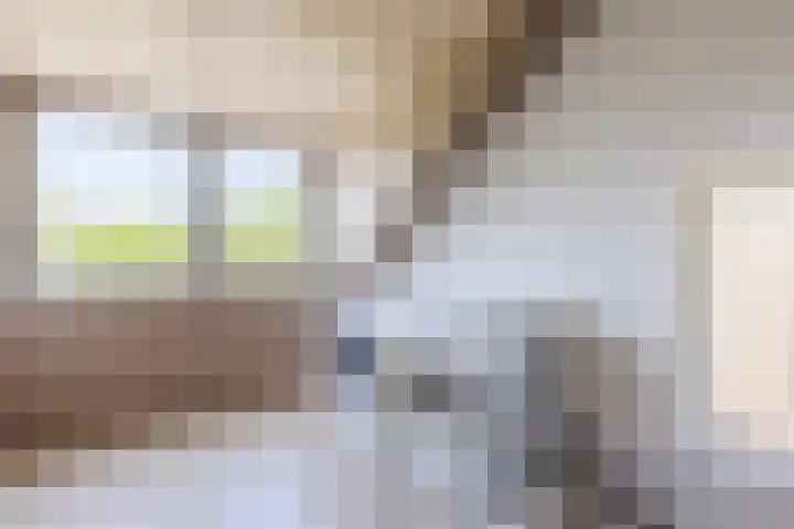 Jeroen Boschlaan 6 Berkel-Enschot thumbnail 26