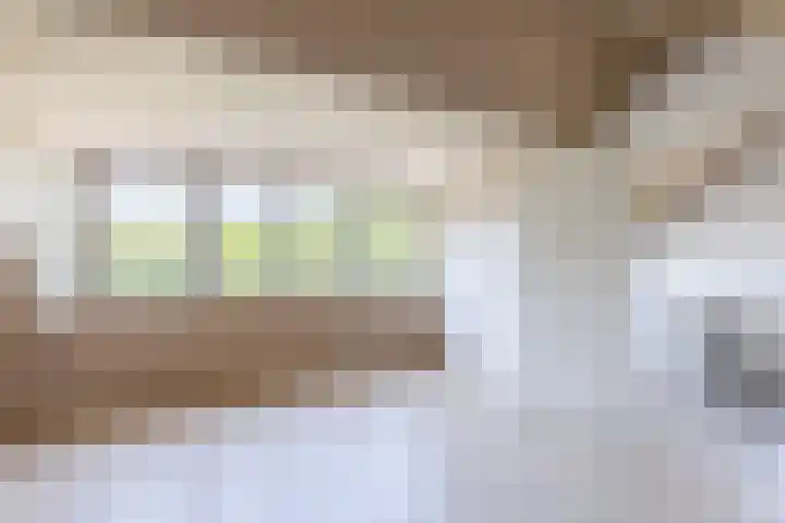 Jeroen Boschlaan 6 Berkel-Enschot thumbnail 28