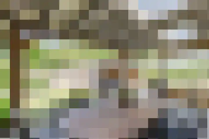 Jeroen Boschlaan 6 Berkel-Enschot thumbnail 29
