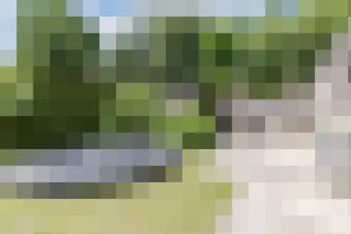 Jeroen Boschlaan 6 Berkel-Enschot thumbnail 30