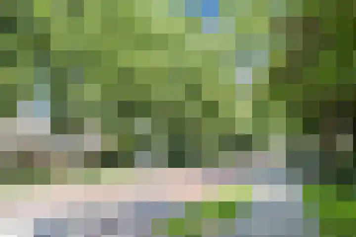 Jeroen Boschlaan 6 Berkel-Enschot thumbnail 36