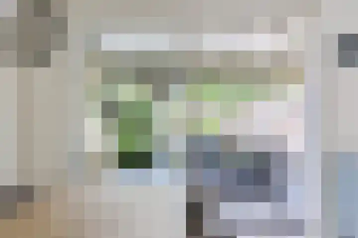 Jeroen Boschlaan 6 Berkel-Enschot thumbnail 9