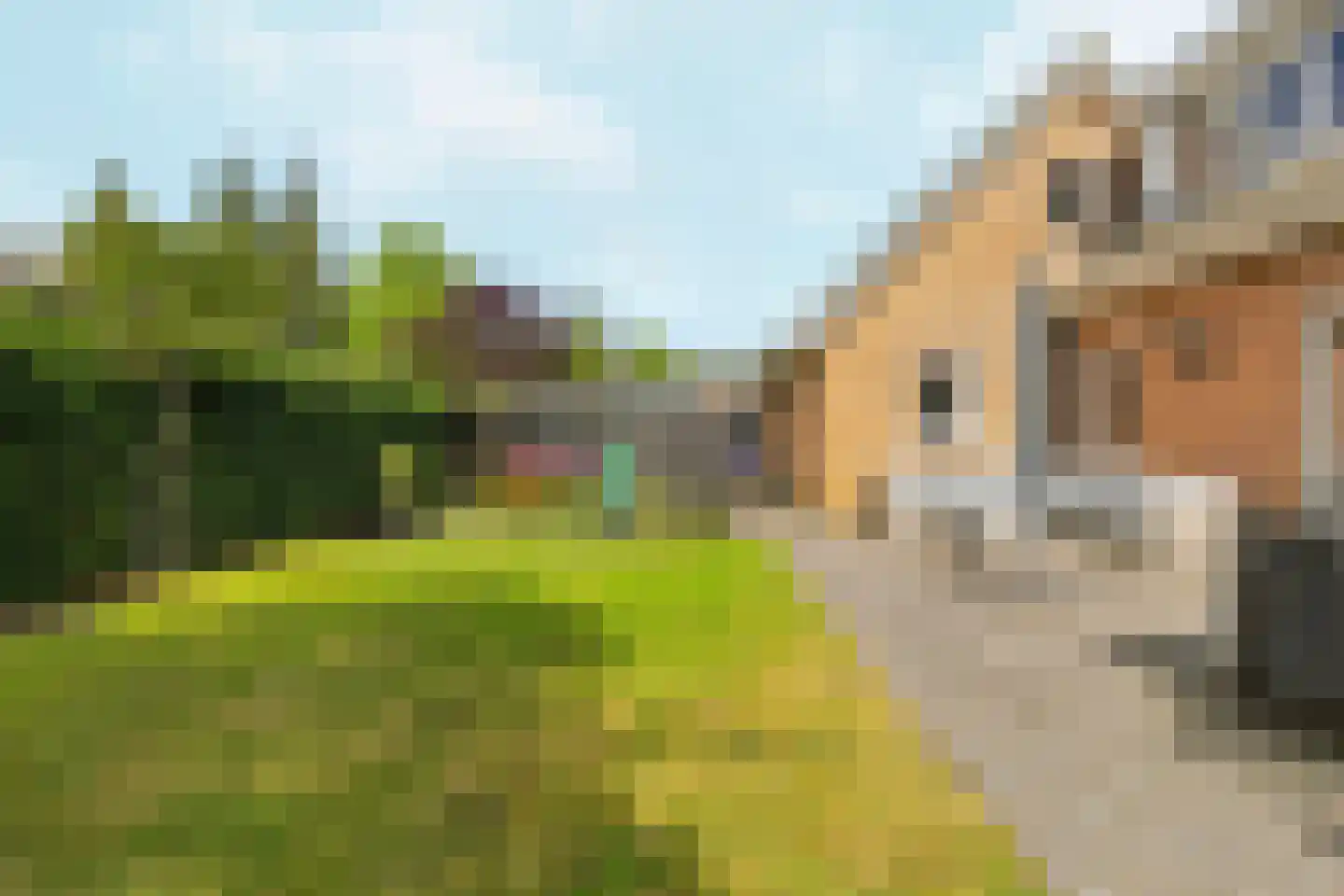 Jeroen Boschplantsoen 107 Almere thumbnail 67