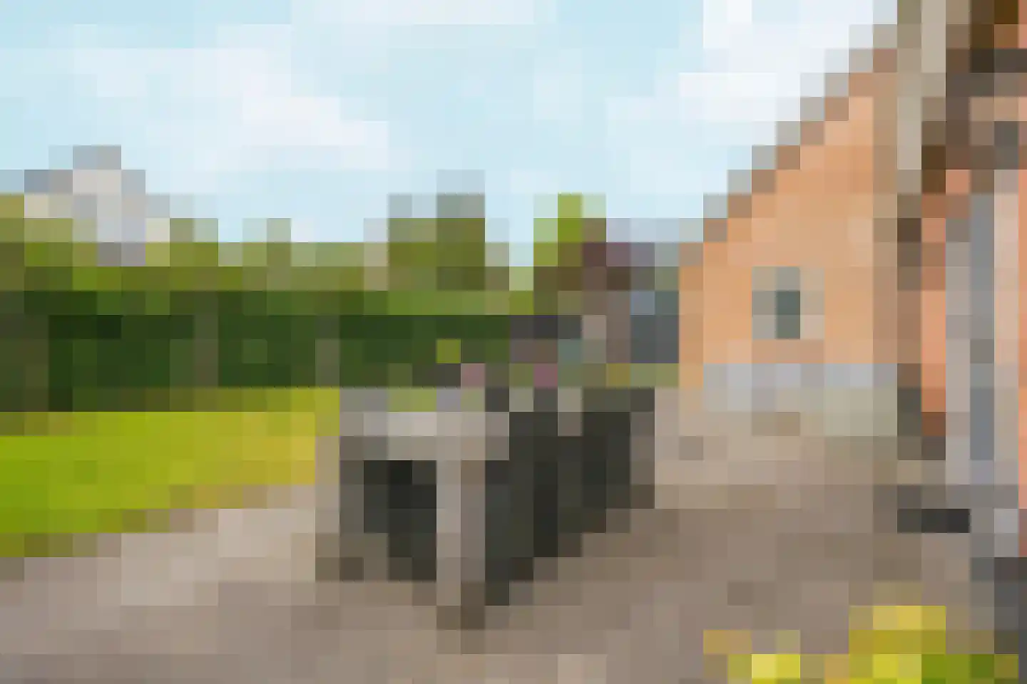 Jeroen Boschplantsoen 107 Almere thumbnail 68