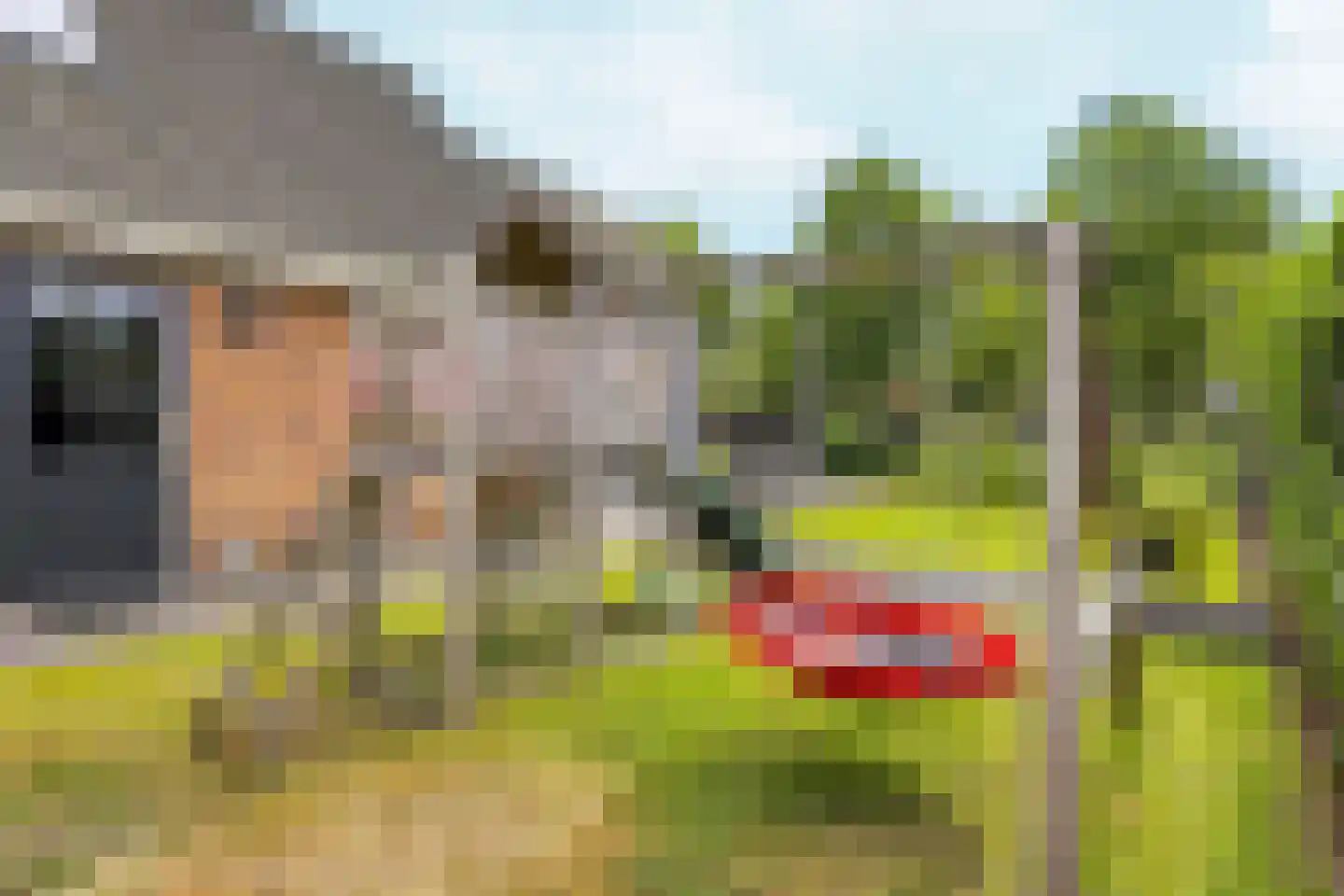 Jeroen Boschplantsoen 107 Almere thumbnail 72