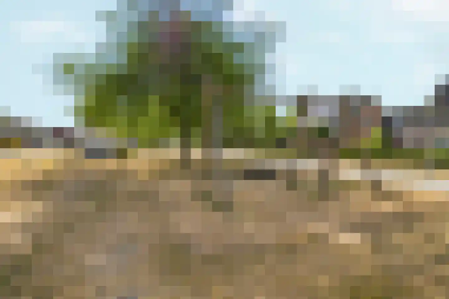 Jeroen Boschplantsoen 107 Almere thumbnail 78