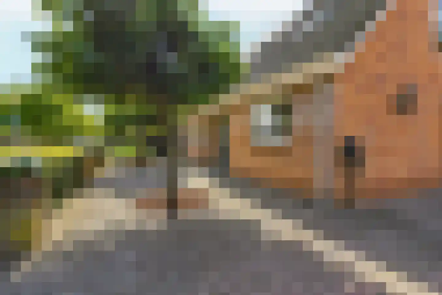 Jeroen Boschplantsoen 107 Almere thumbnail 8