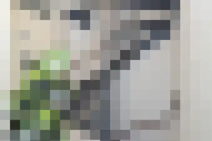 Jeroen Boschplantsoen 44 Almere thumbnail 16