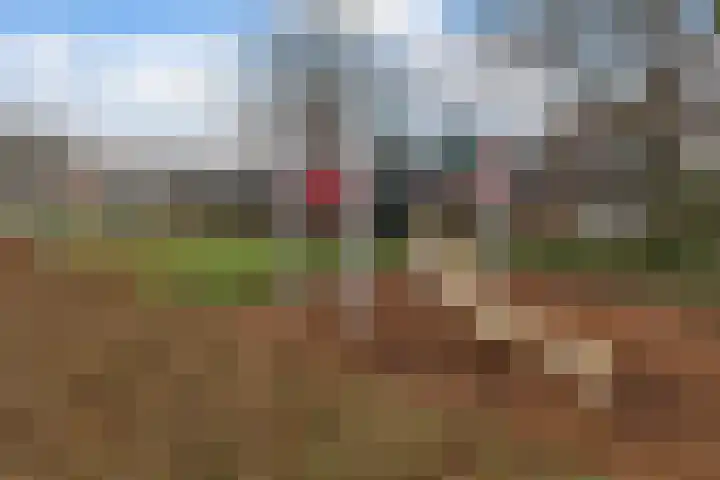 Jeroen Boschplantsoen 44 Almere thumbnail 35