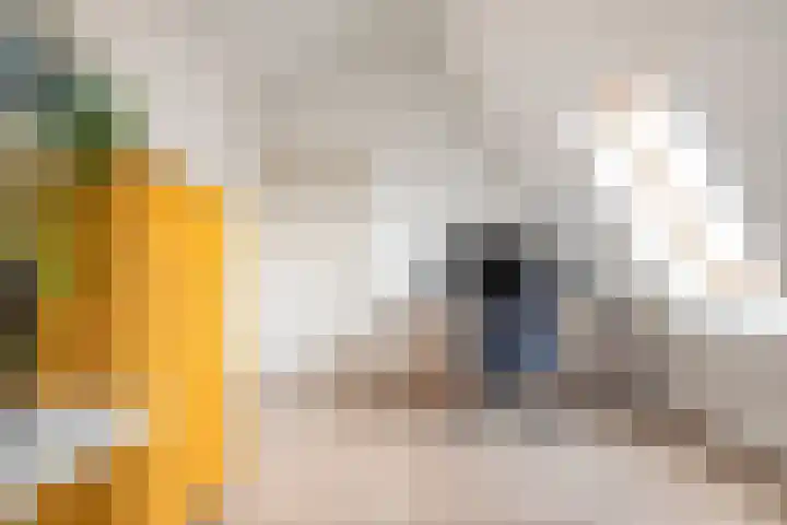 Jeroen Boschplantsoen 67 Almere thumbnail 30
