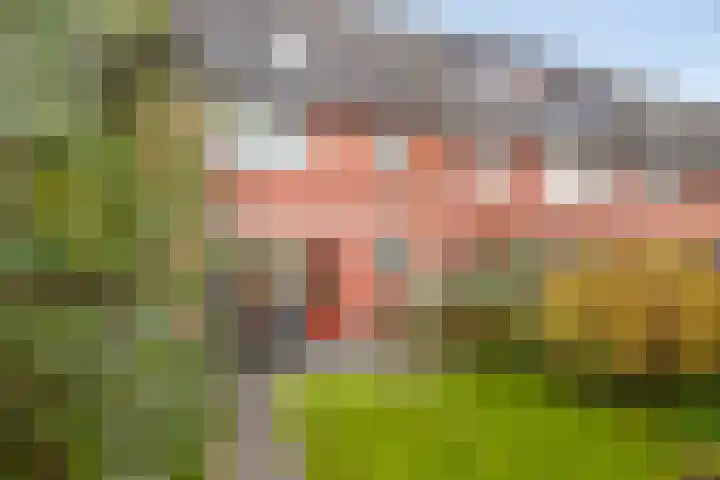 Jeroen Boschplantsoen 67 Almere thumbnail 32