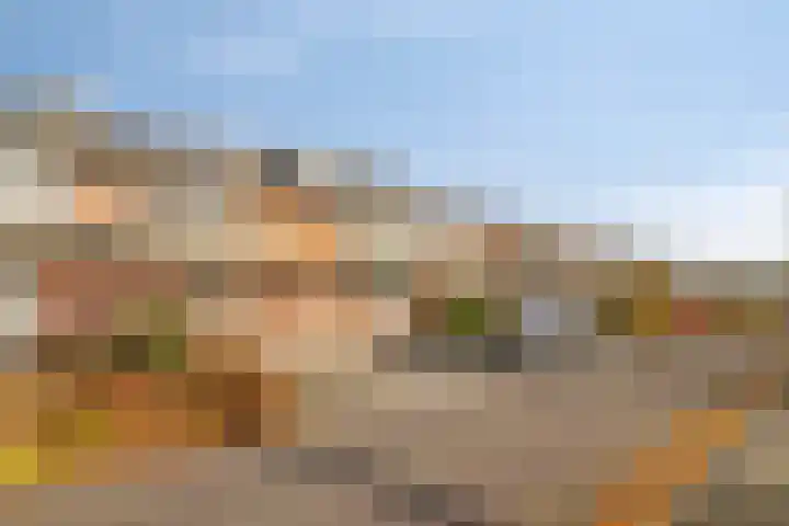 Jeroen Boschplantsoen 67 Almere thumbnail 36