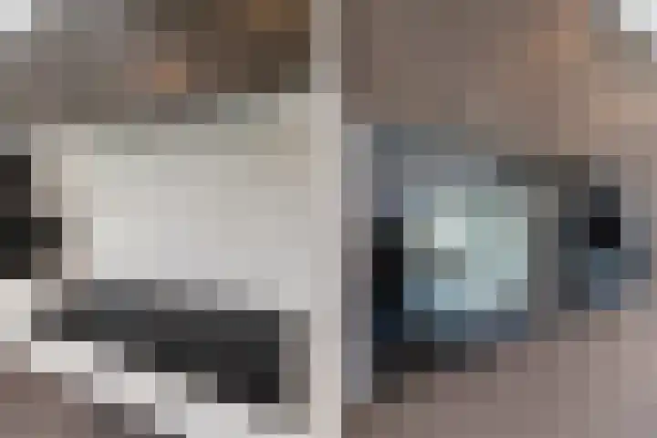 Jeroen Boschplantsoen 9 Almere thumbnail 15