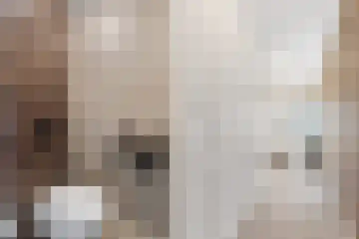 Jeroen Boschplantsoen 9 Almere thumbnail 18