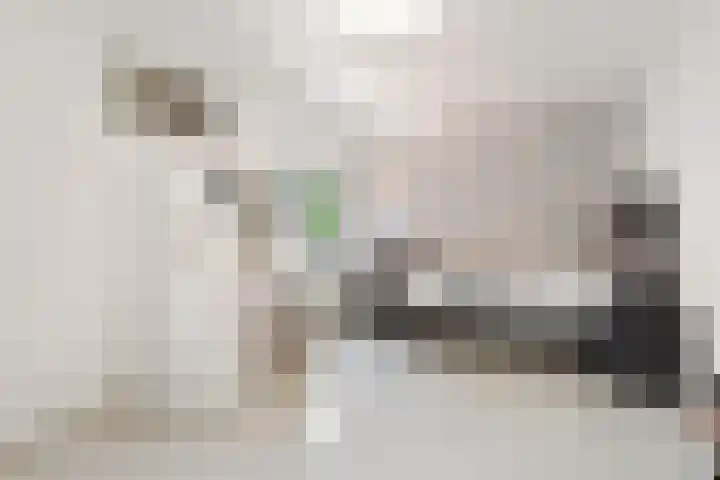 Jeroen Boschplantsoen 9 Almere thumbnail 28