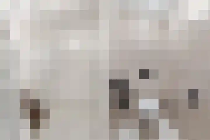 Jeroen Boschplantsoen 9 Almere thumbnail 31