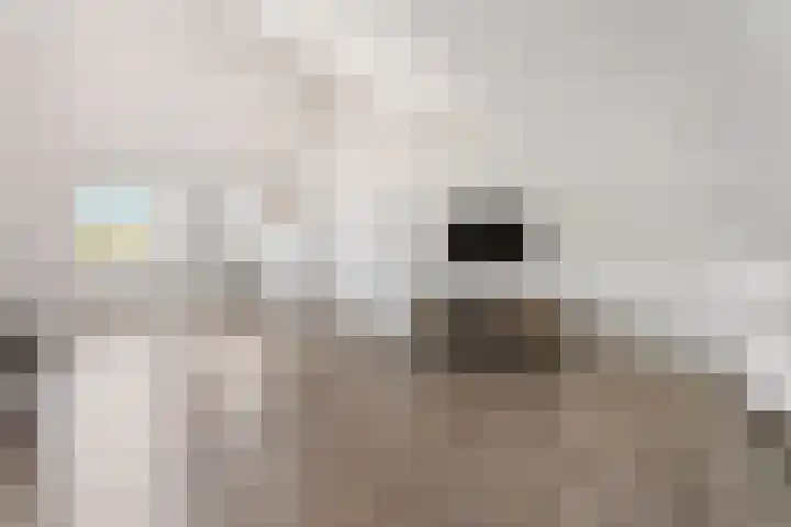 Jeroen Boschplantsoen 9 Almere thumbnail 37