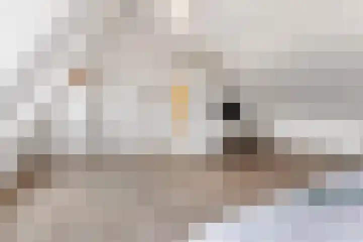 Jeroen Boschplantsoen 9 Almere thumbnail 38