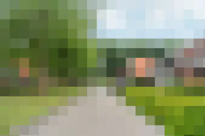 Jeroen Boschplantsoen 9 Almere thumbnail 53