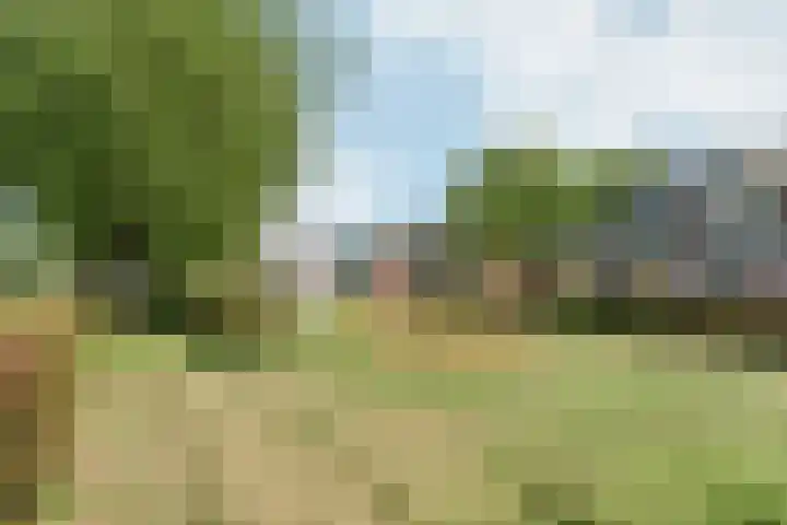 Jeroen Boschplantsoen 9 Almere thumbnail 54