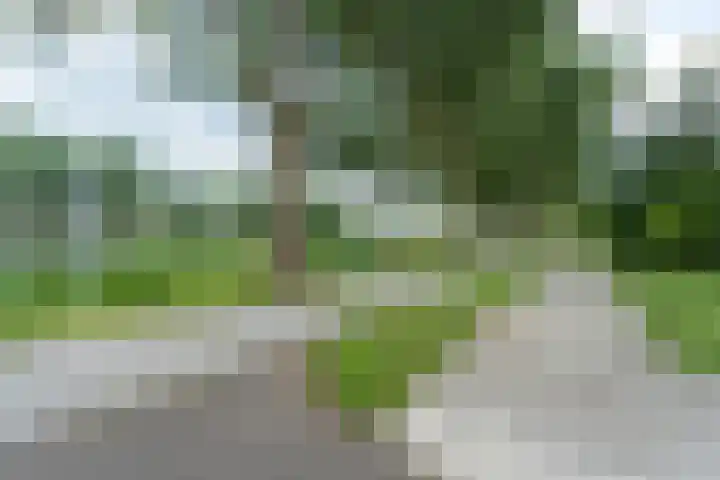 Jeroen Boschplantsoen 9 Almere thumbnail 55