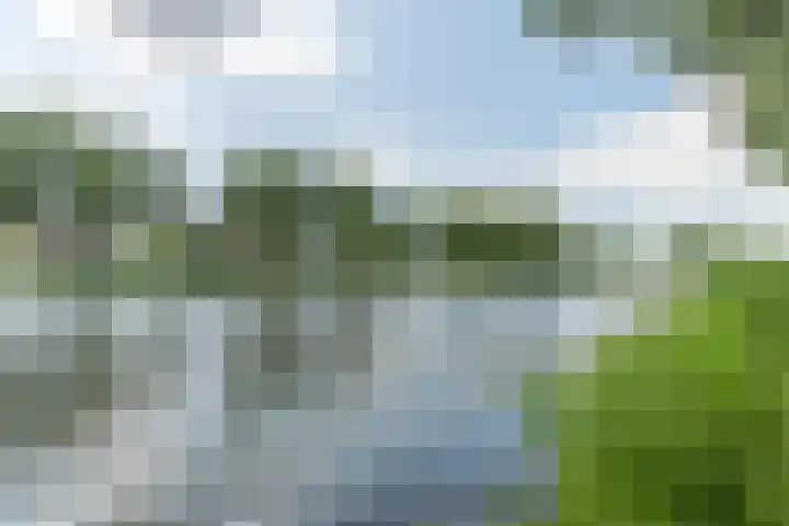 Jeroen Boschplantsoen 9 Almere thumbnail 56