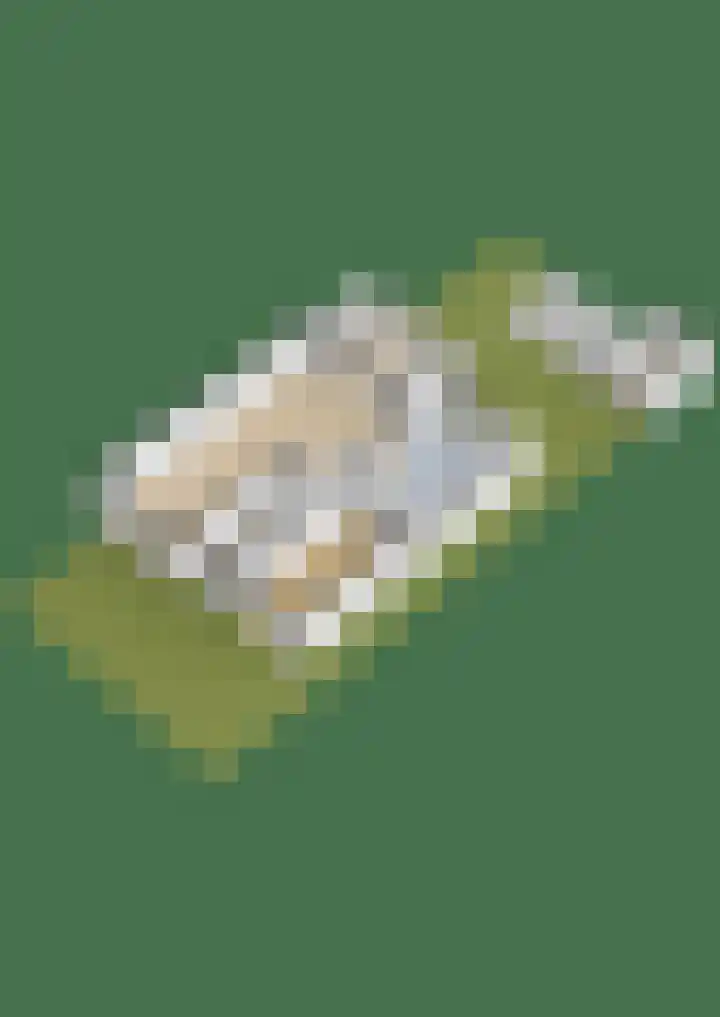 Jeroen Boschplantsoen 9 Almere thumbnail 64