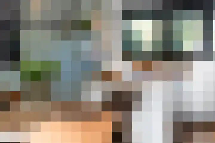 Jeroen Boschplantsoen 98 Almere thumbnail 16