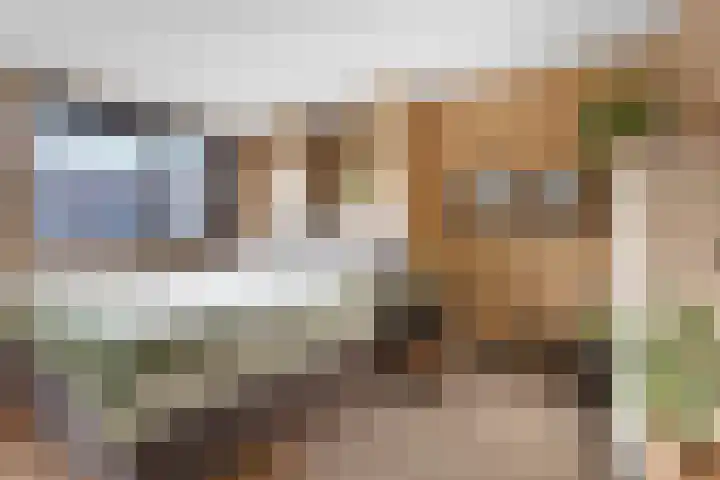 Jeroen Boschplantsoen 98 Almere thumbnail 20