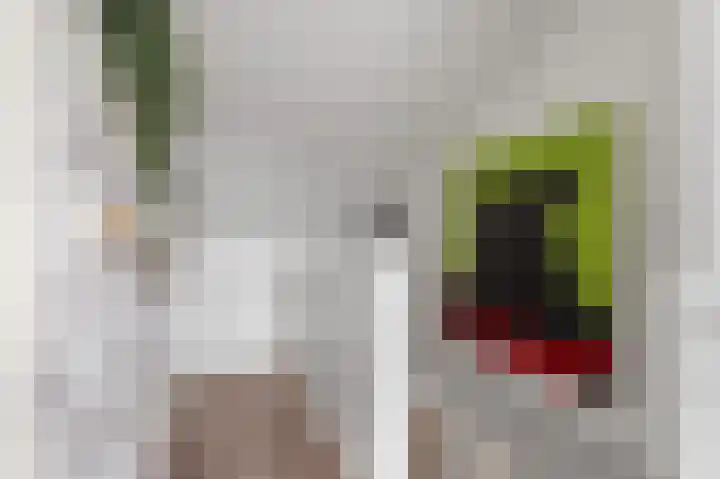 Jeroen Boschplantsoen 98 Almere thumbnail 33