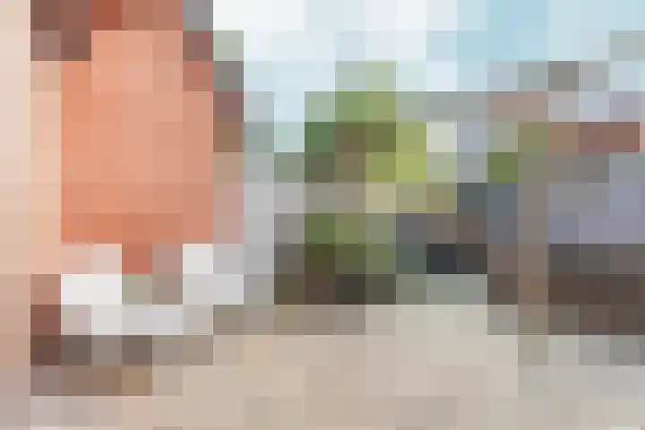 Jeroen Boschplantsoen 98 Almere thumbnail 35