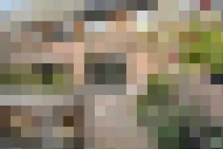 Jeroen Boschplantsoen 98 Almere thumbnail 40