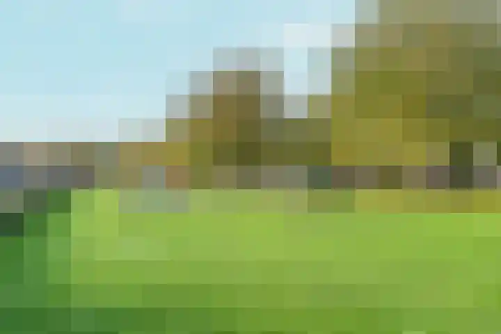 Jeroen Boschplantsoen 98 Almere thumbnail 46