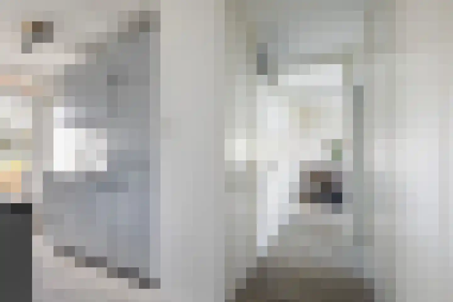 Jeroen Boschstraat 1 Maassluis thumbnail 16