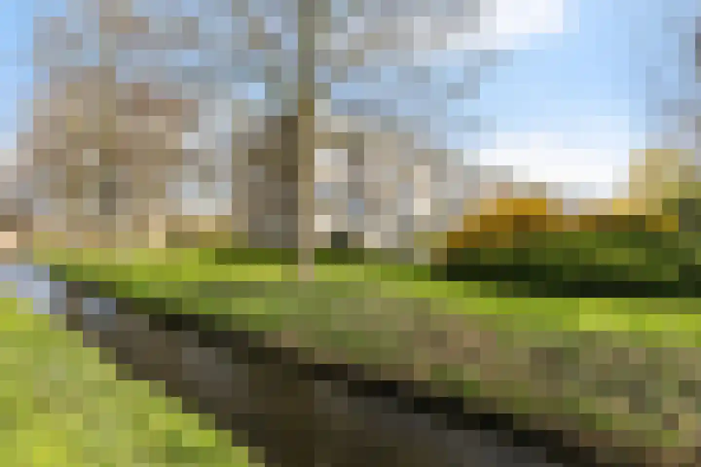 Jeroen Boschstraat 1 Maassluis thumbnail 35
