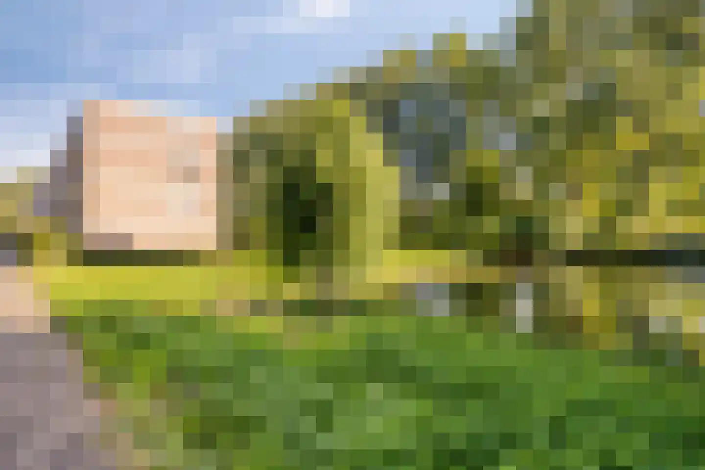 Jeroen Boschstraat 109 Maassluis thumbnail 19